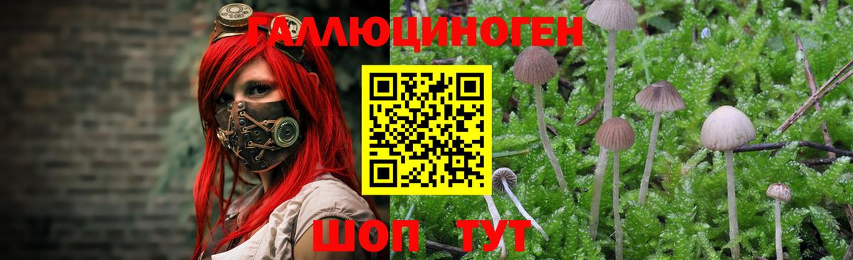 Галлюциногенные грибы GOLDEN TEACHER  Вход с VPN  как найти закладки  Орск 